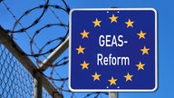 Fotomontage: Neben einem Zaun mit Natodraht steht ein blaues Schild mit Europasternen, auf dem "GEAS-Reform" zu lesen ist.