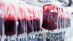 Symbobild: Beutel mit gespendetem Blut