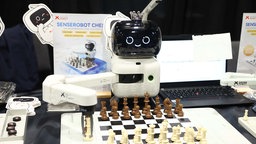 Der "SenseRobot", ein KI-Schachroboter mit Roboterarm, der während der Internationalen Schachausstellung 2026 präsentiert wird.