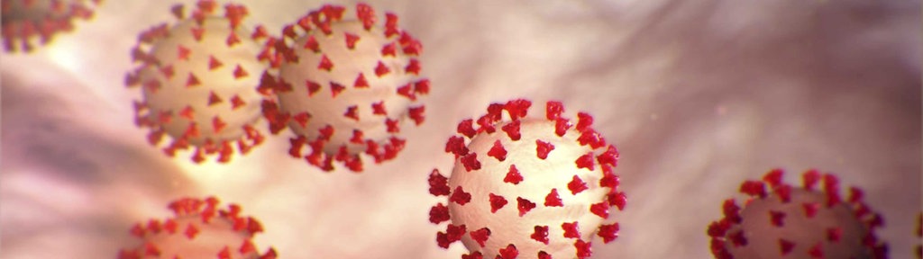 Coronavirus 