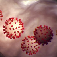 Coronavirus 