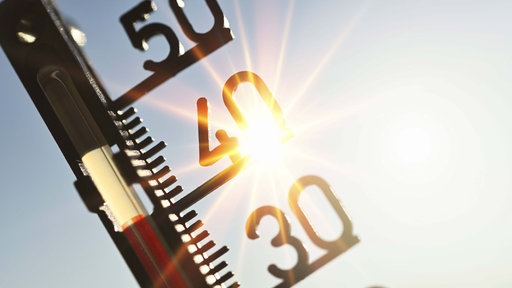Symbolbild: Ein Thermometer, das 42 Grad anzeigt, vor blauem Himmel.