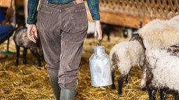 Eine Frau mit einer Milchkanne in einem Schafstall. Symbolbild: Frauen in der Landwirtschaft