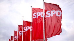 SPD-Fahnen