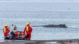 Rettungskräfte vor einem gestrandeten Buckalwal am Strand der Ostsee (23.03.2025).