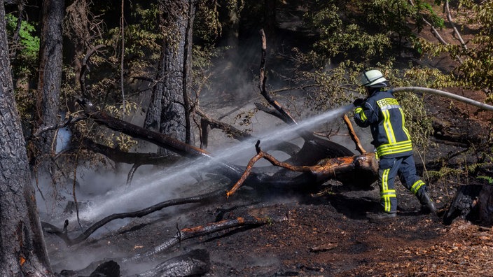 Symbolbild: Feuerwehr beim Löschen eines Waldbrandes