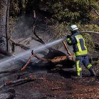 Symbolbild: Feuerwehr beim Löschen eines Waldbrandes