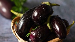 Aubergine
