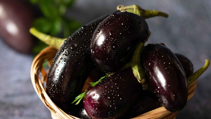 Aubergine