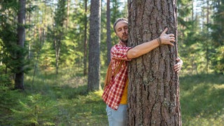 Symboldbild: Ein Mann in kariertem Hemd umarmt einen Baum.