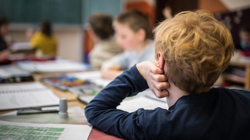 Schüler in einem Klassenzimmer von hinten aufgenommen