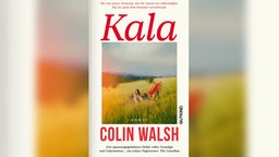 Titel des Kriminal- und Coming-of-Age-Roman "Kala" des irischen Autor Colin Walsh: Gemälde mit Menschen auf einer sommerlichen Wiese. Eine Person ist mit bunter Linie unkenntlich gemacht.