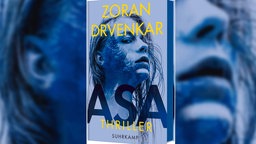 Cover des Buches Asa von Zoran Drvenkar. 