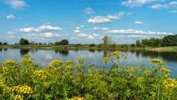 Elbe bei Tangermünde