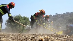 Feuerwehrleute aus Deutschland richten am Einsatzort zeitaufwändig eine sogenannte Safety Zone ein; Hierbei wird das ganze Gebiet mit Hacken von Vegetation befreit.