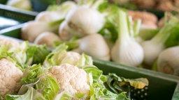 Fenchel und Blumenkohl