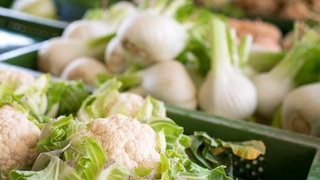 Fenchel und Blumenkohl