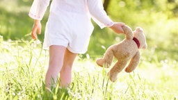 Kind mit Teddy von hinten auf einer Wiese