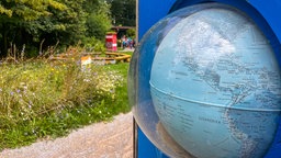 Service Ausflug: kostenlose Ausflüge in den NRW Sommerferien