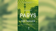 Das Buchcover zu „Der Magier“ von Magdalena Parys zeigt neben dem Buchtitel und dem Namen der Autorin ein Foto von Berlin mit dem Fernsehturm im Zentrum; die Szene ist in ein gelb-grünes, wellenartiges Muster getaucht.