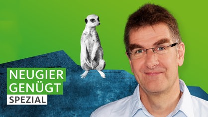 Eine Collage eines neugierigen Erdmännches und einem Porträtfoto von Jürgen Wiebicke.