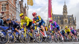Radrennen "Ronde van Vlaanderen" in Belgien
