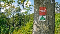 Wanderwegmarkierung am Rothaarsteig