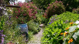 Ein schmaler Weg führt durch einen blühenden Sommergarten.