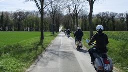 Mehrere Vespafahrer auf einer Landstraße