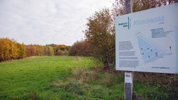 Waldlabor Köln