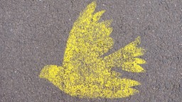 Symbol für Frieden, auf Asphalt gemalte gelbe Taube, Friedenstaube 