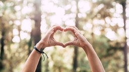Zwei Hände formen ein Herz im Wald
