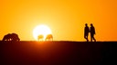 Menschen laufen im Sonnenuntergang