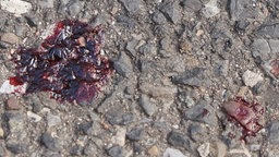 Blutflecken sind auf dem Asphalt zu sehen 