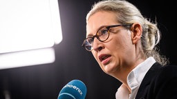 Alice Weidel gibt ein Fernseh-Interview. 