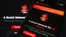 Die Website von Moltbook, einem sozialen Netzwerk für KI-Agenten, wird auf einem Smartphone- und einem Laptop-Bildschirm angezeigt, 03.02.2026.