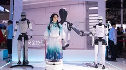 Realistischer humanoider Roboter am Stand von Droidup im Shanghai New Expo Center während der WAIC, 27.07.2025.