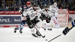 Spielszene der Partie zwischen den Kölner Haien und den Schwenninger Wild Wings