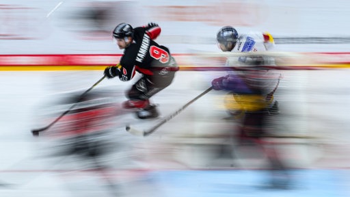 Früher Rivalen, jetzt Partner: die Kölner Haie und die Düsseldorfer EG.