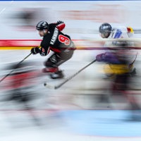 Früher Rivalen, jetzt Partner: die Kölner Haie und die Düsseldorfer EG.
