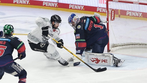 Duell in der Partie Kölner Haie gegen Eisbären Berlin