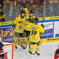 Die Spieler der Krefeld Pinguine jubeln