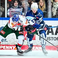 Taro Jentzsch (Iserlohn Roosters) im Zweikampf mit Augsburgs Kristan Blumenschein in einer Szene aus der Partie vom Dezember 2024.