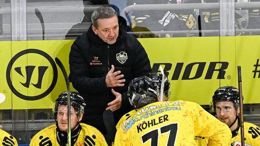 Thomas Popiesch, Trainer der Krefeld Pinguine