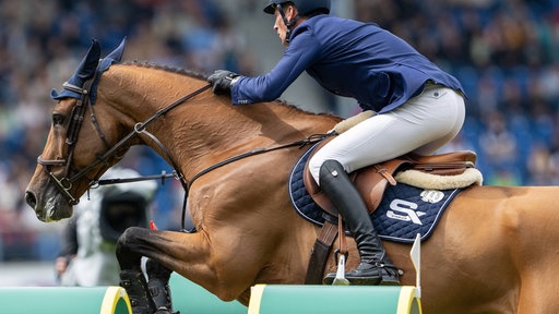 Springreiten beim Allianz Preis