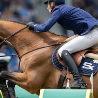 Springreiten beim Allianz Preis