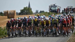 Das Peloton auf einer Etappe der Tour de France 2025.