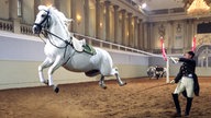 Spanische Hofreitschule in Wien