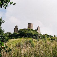 Auf dem Desenberg stehen der Turm und die Mauern einer alten Burg, im Vordergrund sind Bäume und Wiese.