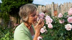 Lene duftet an Rosen